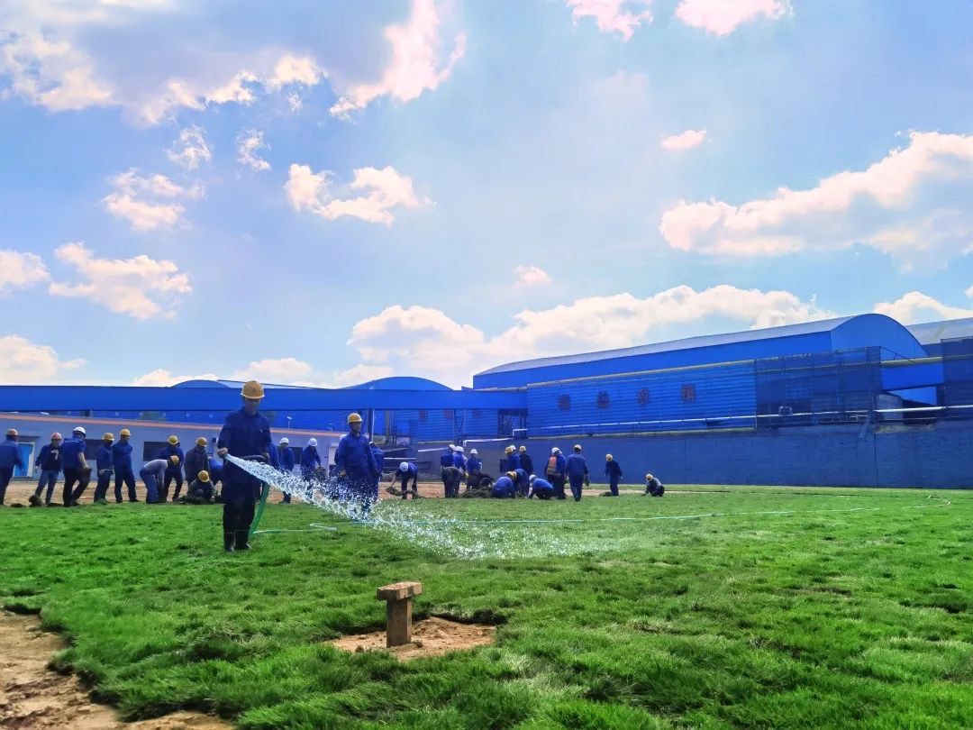 1657585902311593.jpg 2.jpg