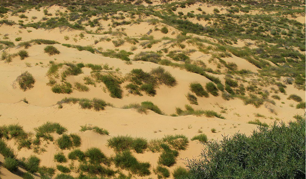 1694132119850719.png 640 (6).png