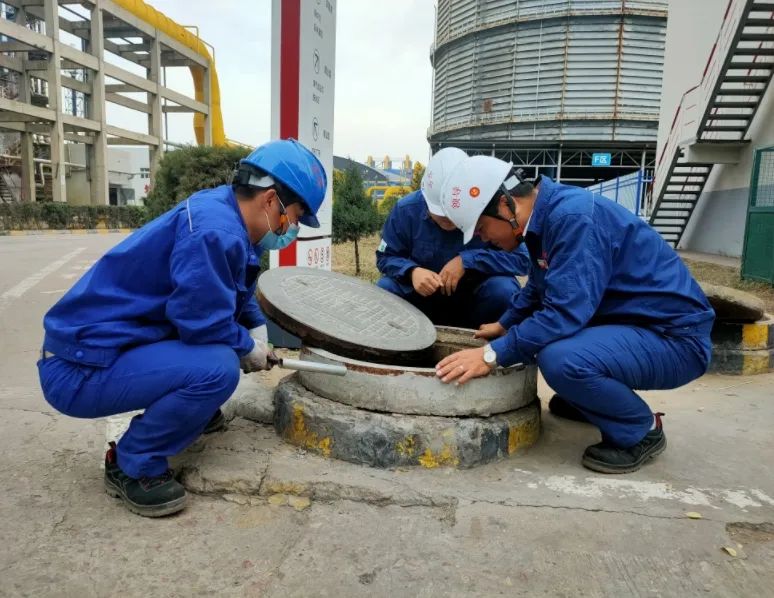 1697765834471101.jpg 640 (5).jpg