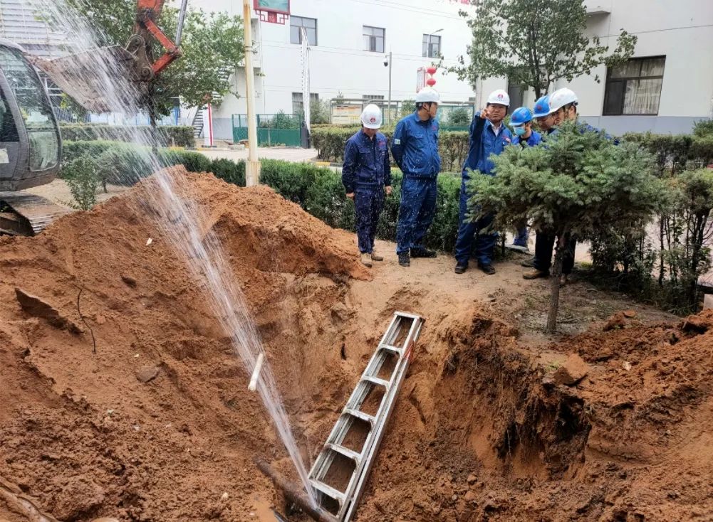 1697765839681683.jpg 640 (6).jpg