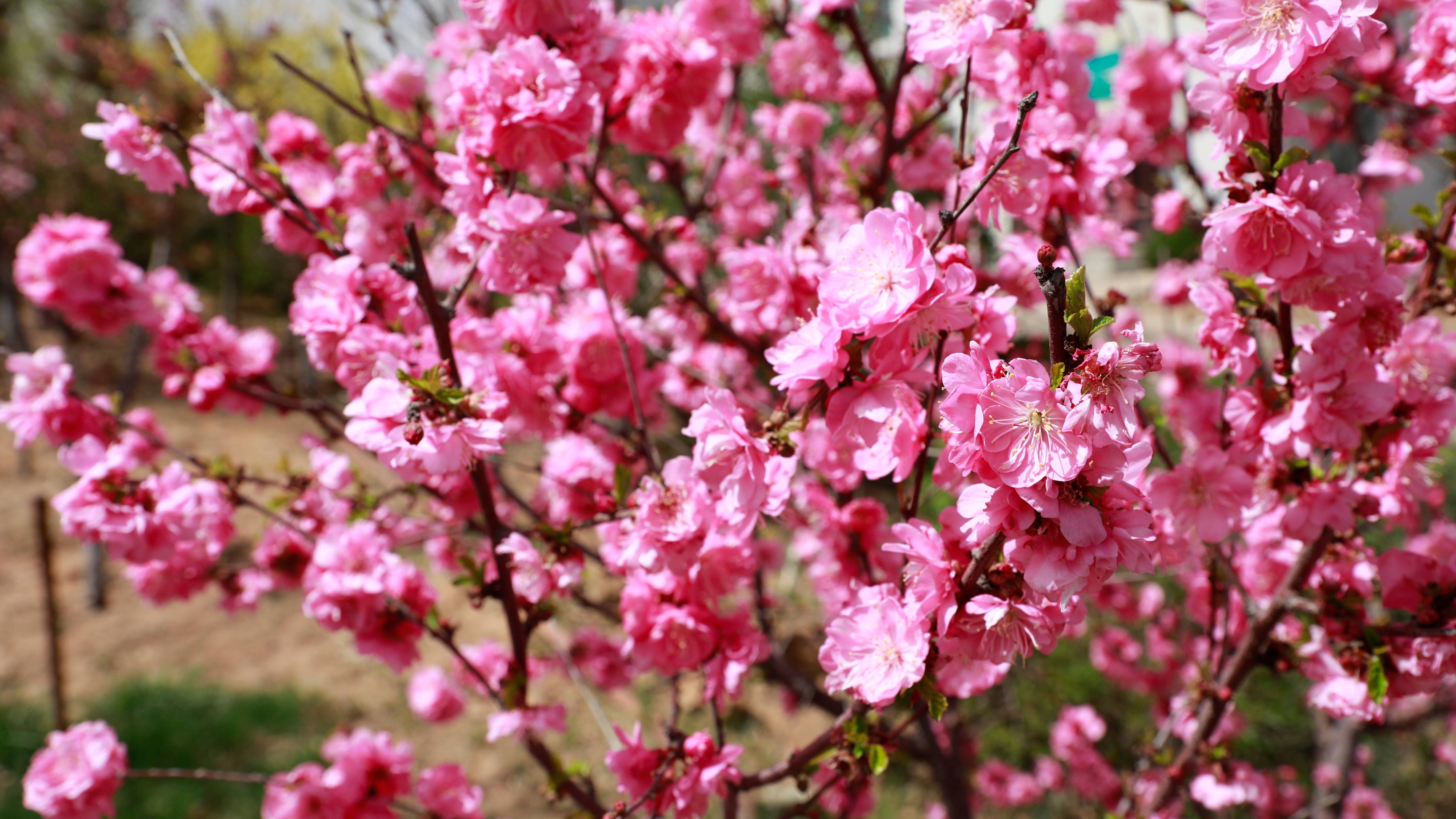 1745573219810718.jpg 微信圖片_20250424153008(1).jpg