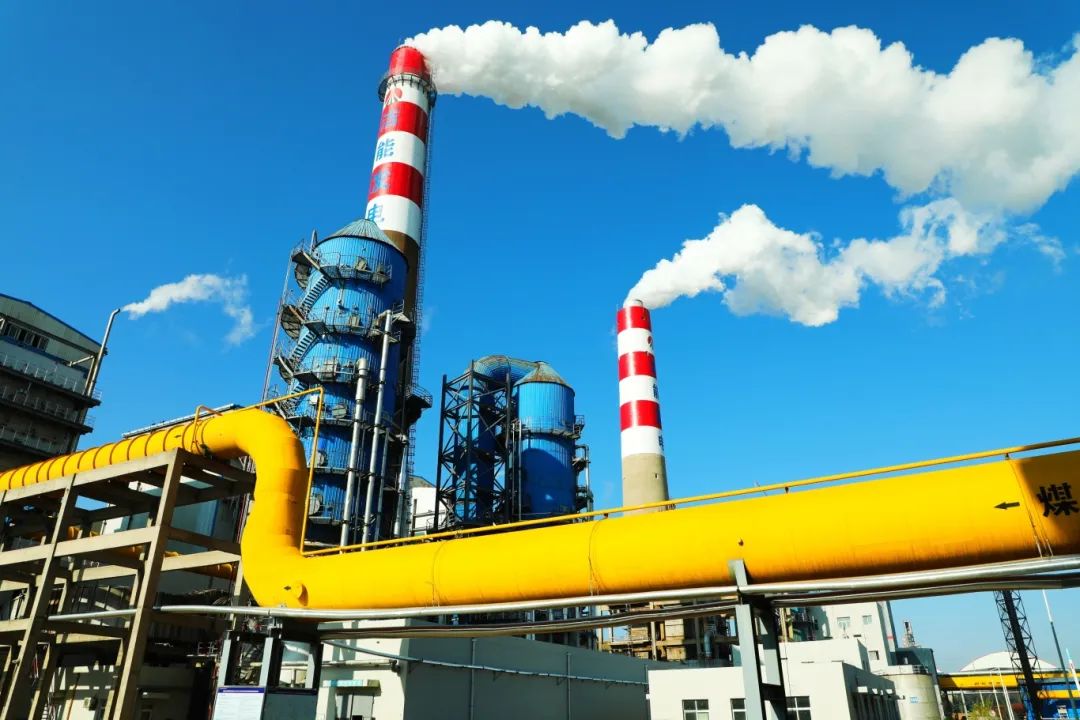 1753316176724698.jpg 3.jpg