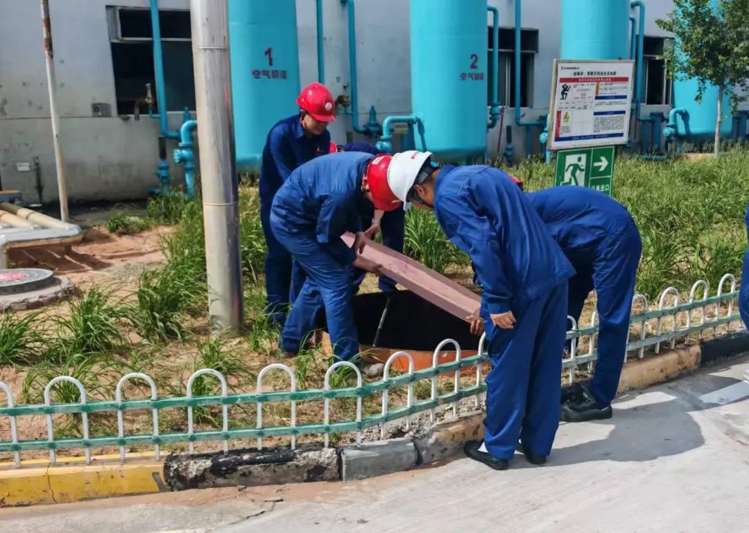 1755477863733993.jpg 3.1.jpg