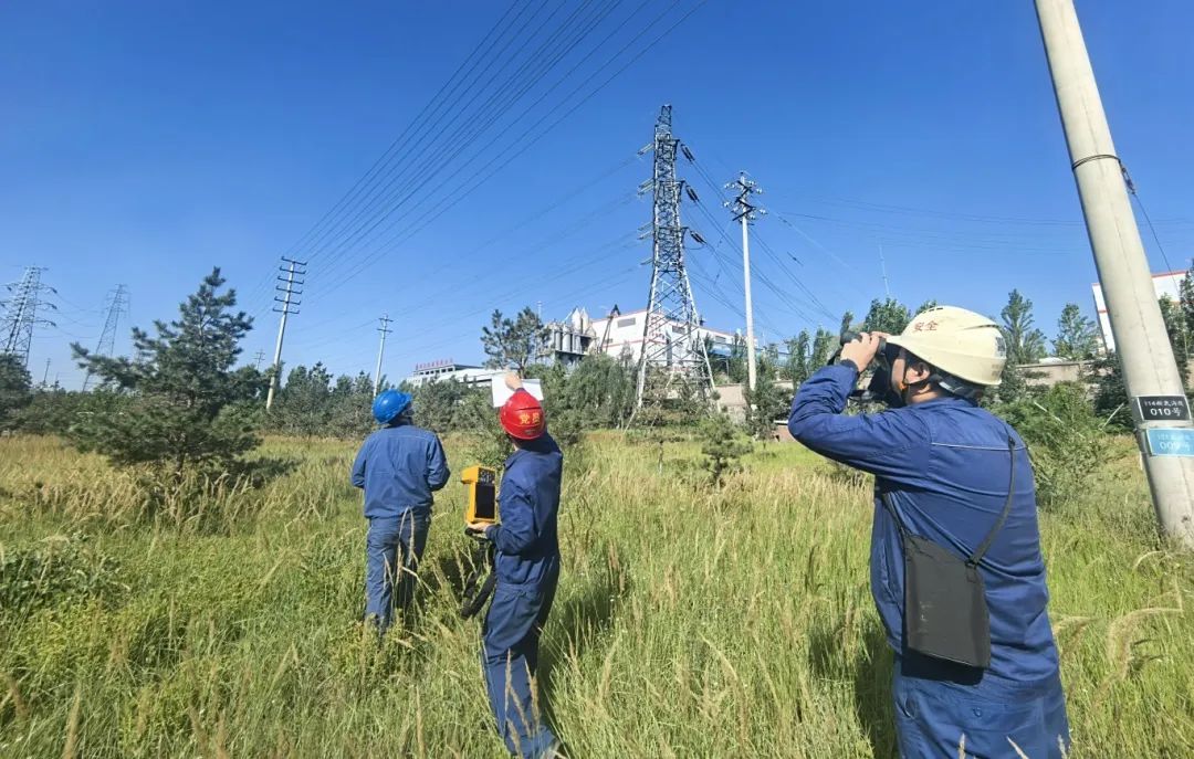 1755649216562855.jpg 3.jpg