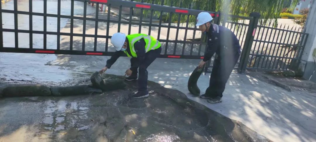 1755649312134689.jpg 4.1.jpg